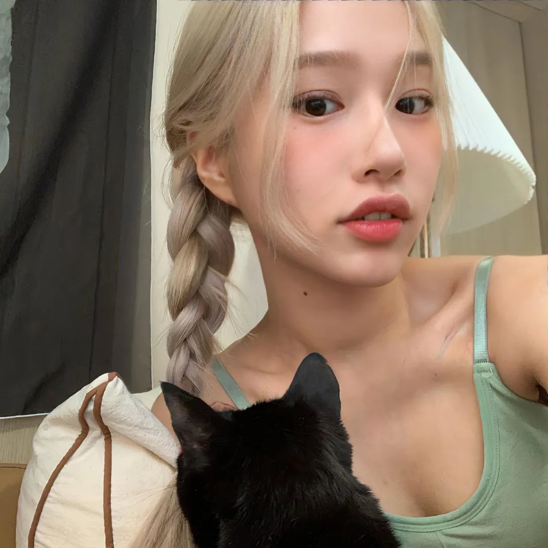 容易受伤的玫瑰